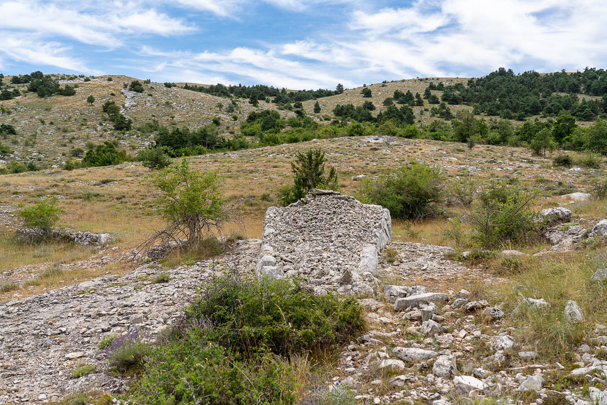 04 A7R3329 web