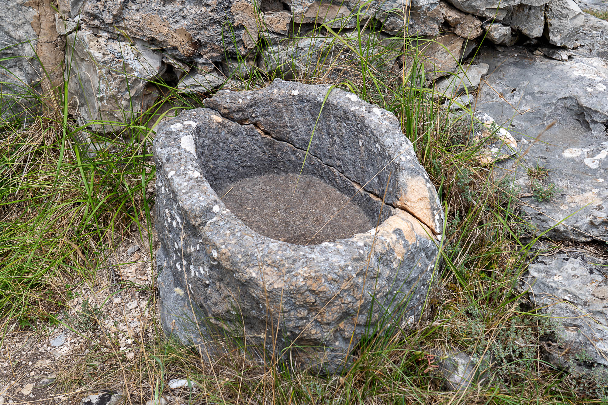 07 A7R3336 web
