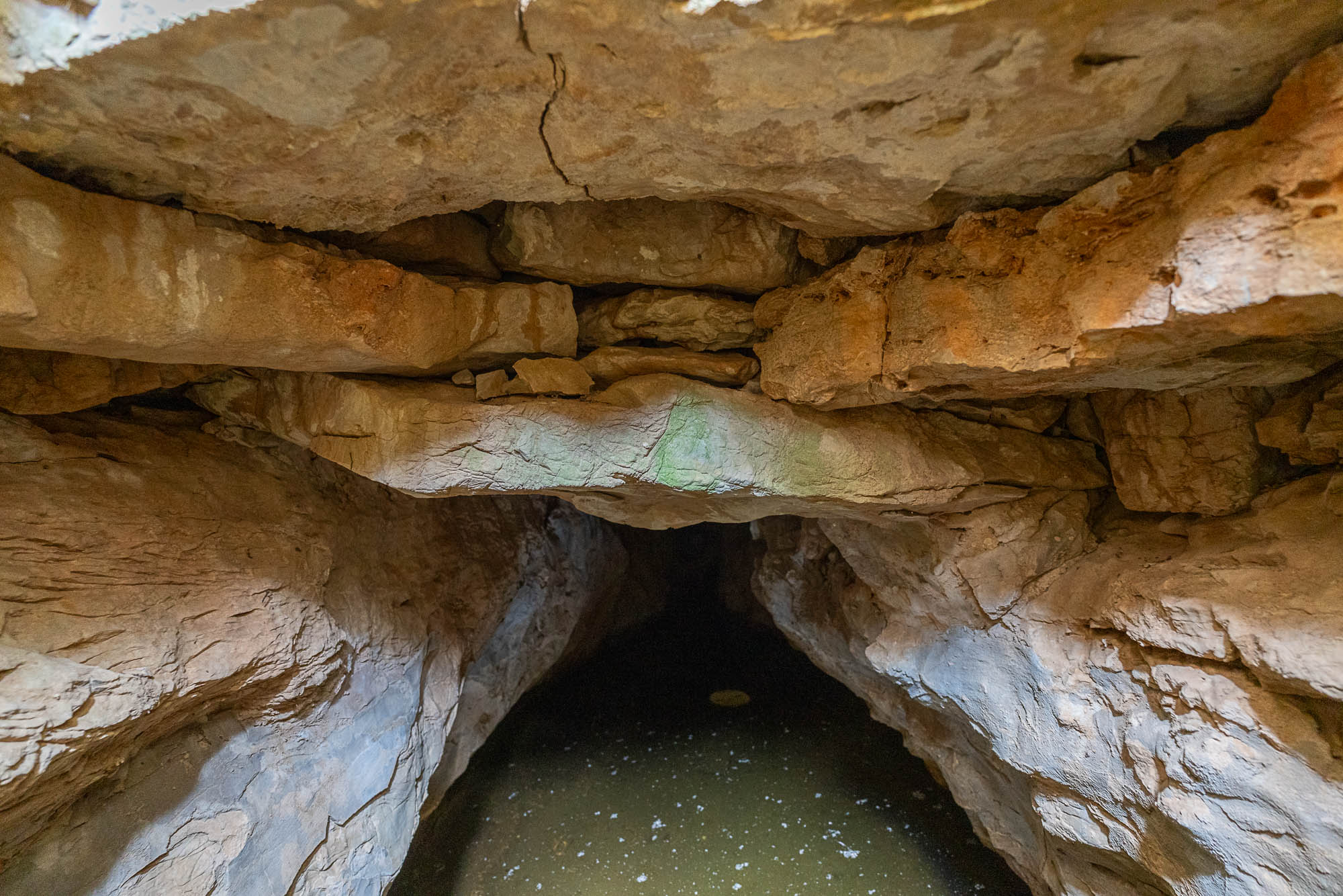 09 A7R3337 web