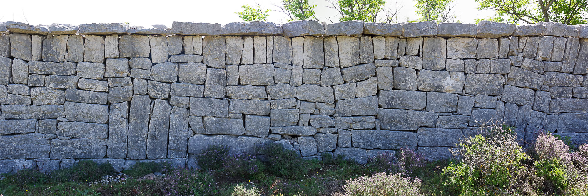 K70 2412 Panorama web