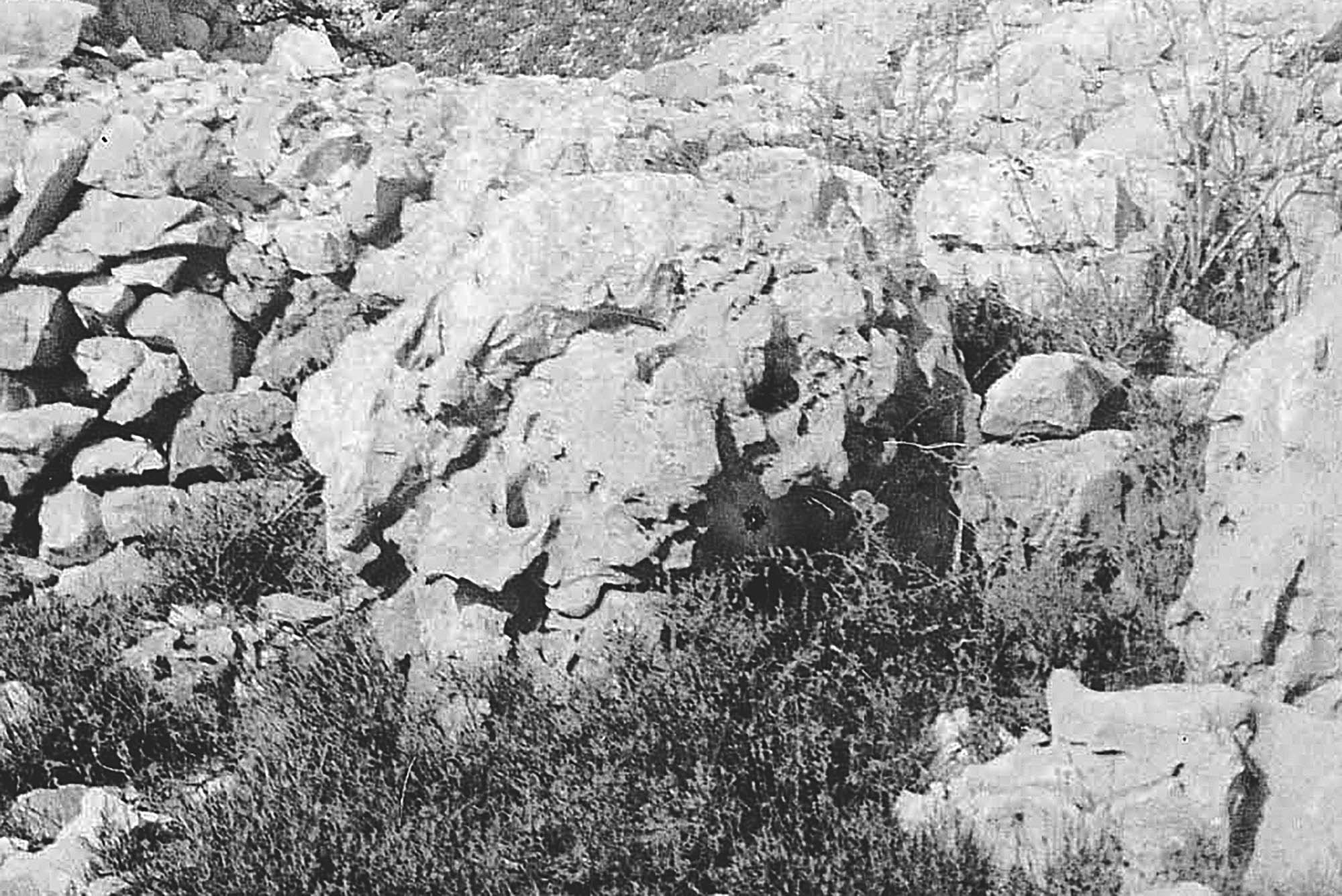 06 cessole pl 04559 Bergerie du col de Ferrier route de Thorenc. 24 septembre 1910 roche web 6
