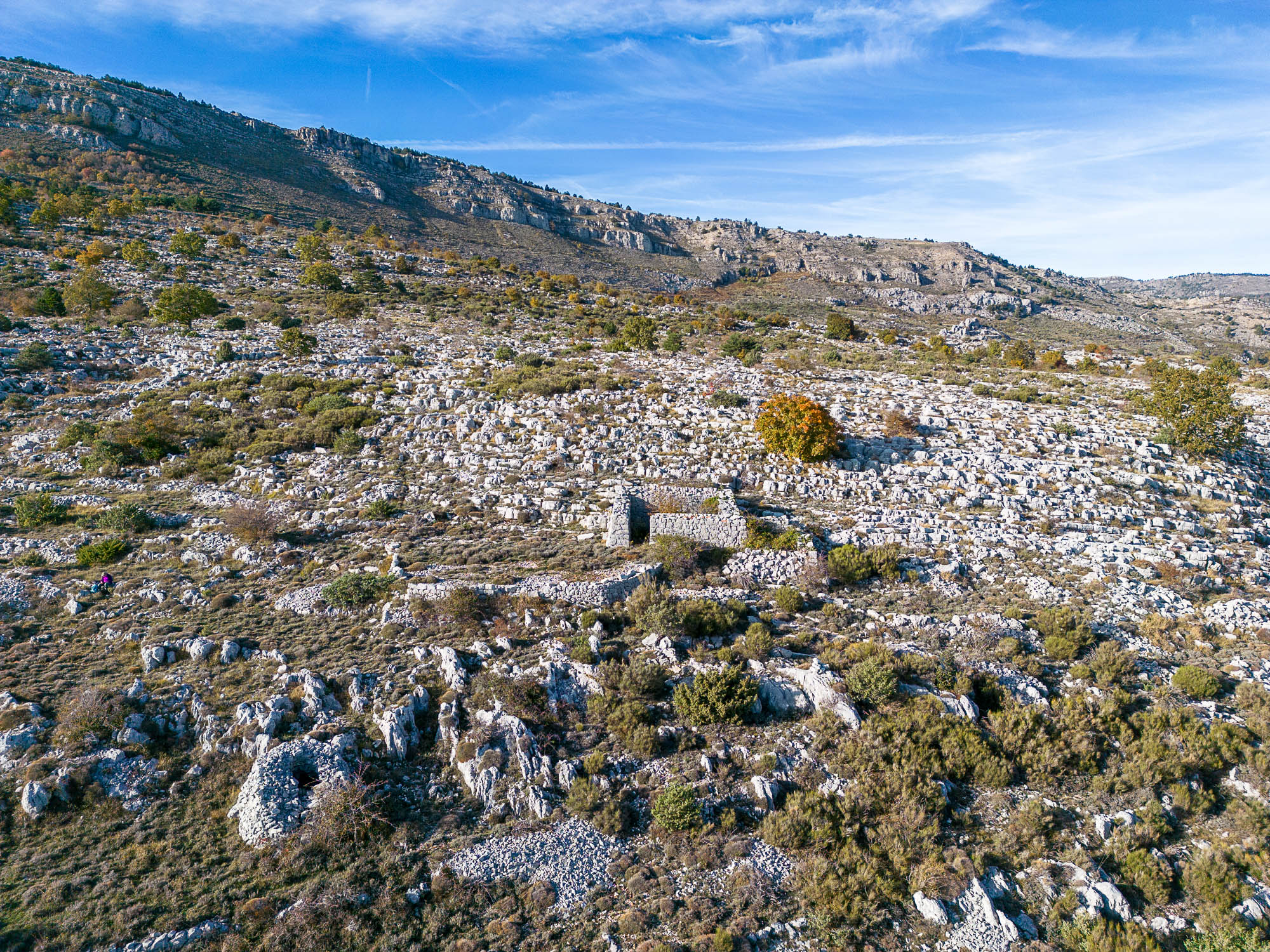 DJI 0385 web