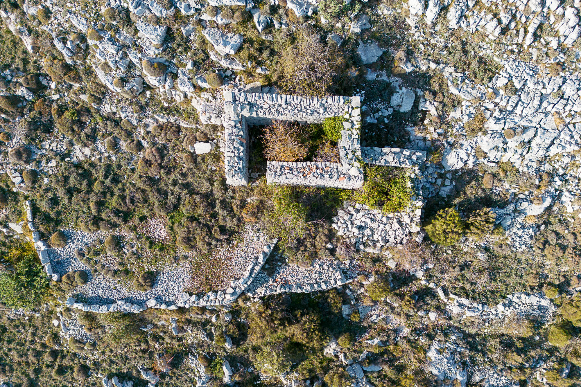 DJI 0387 web