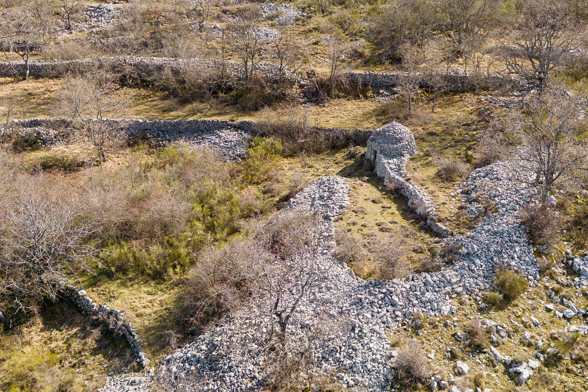 DJI 0788 web