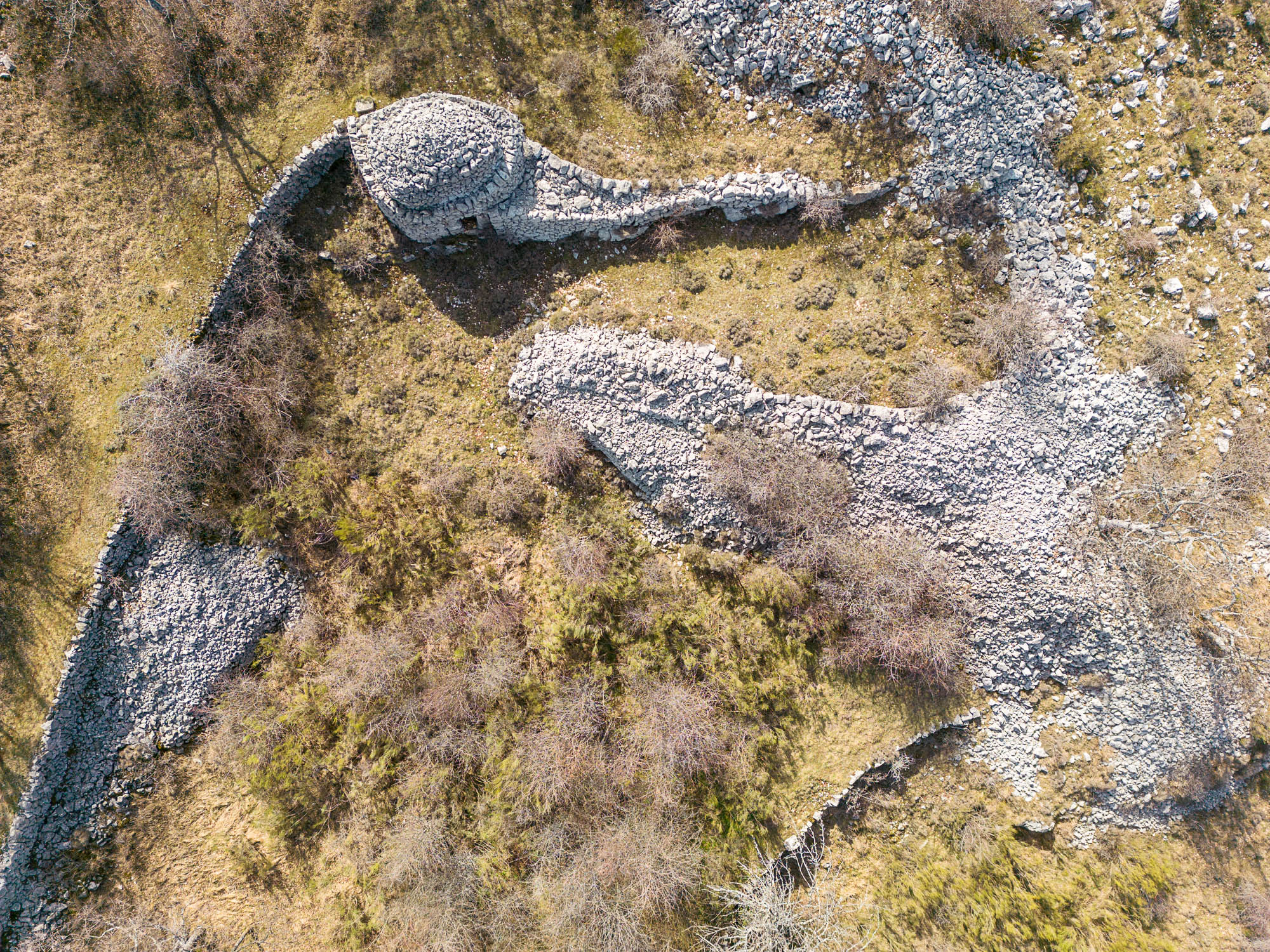 DJI 0790 web