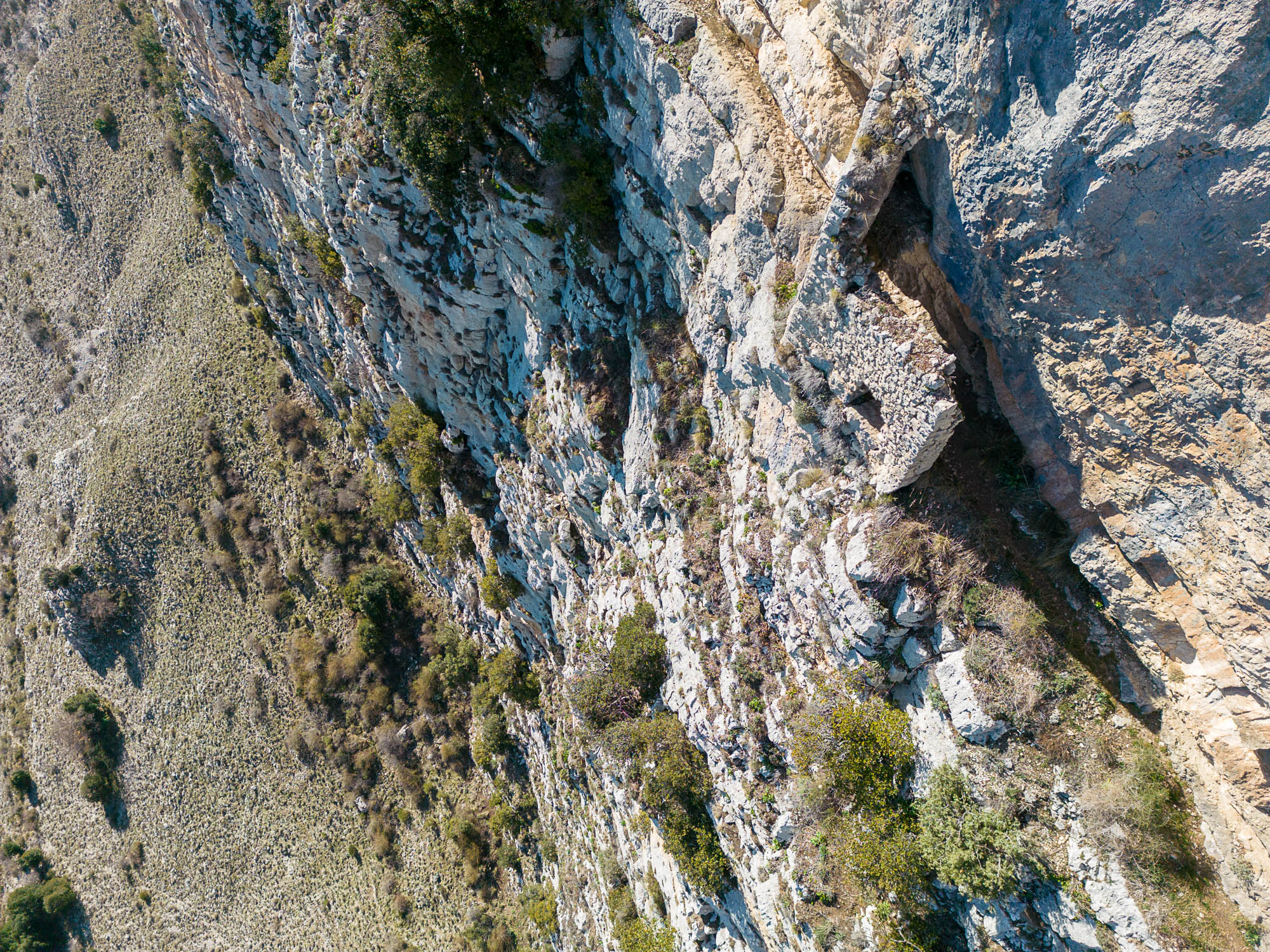 11 DJI 0656
