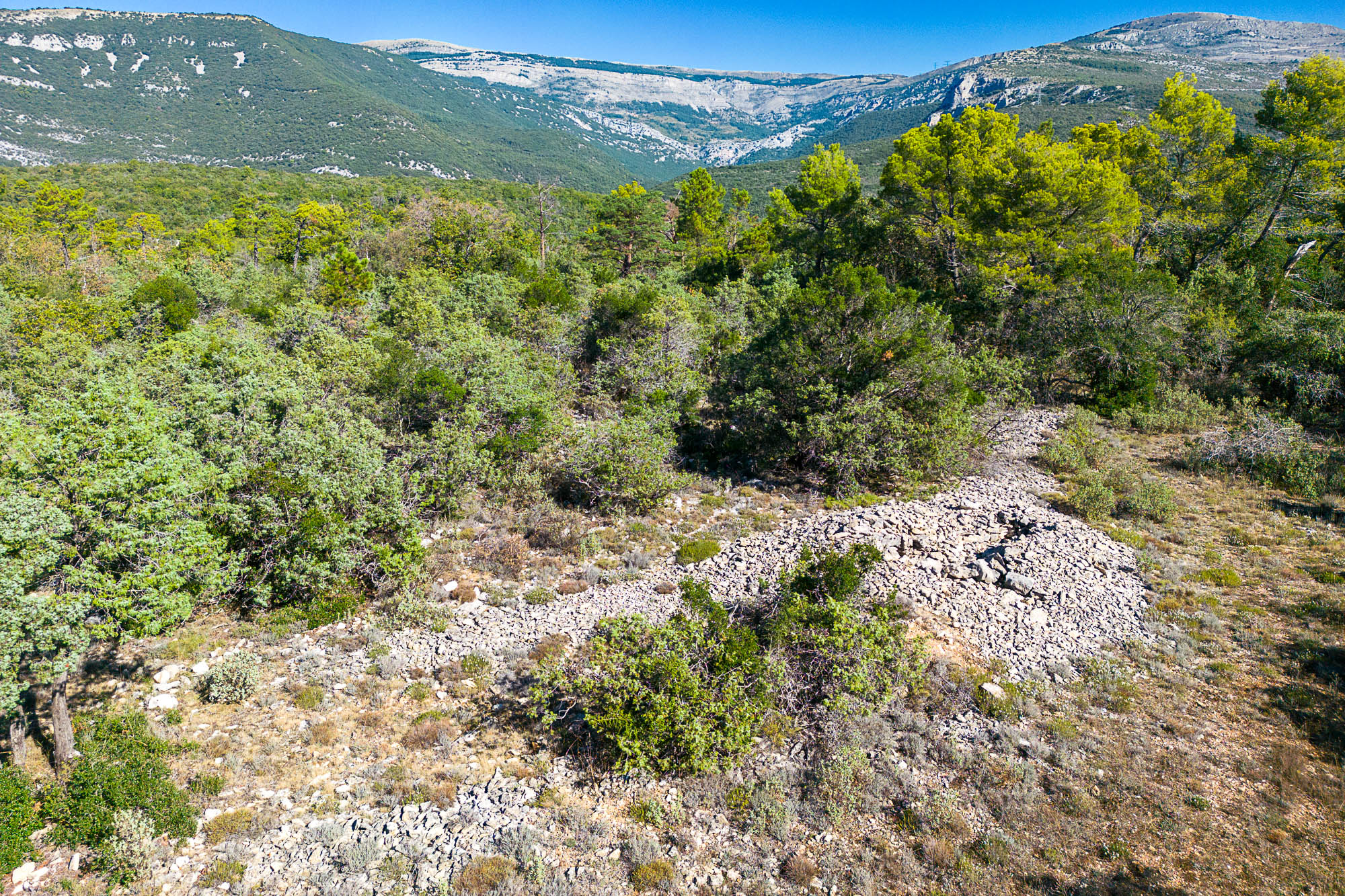 01 DJI 0242 web
