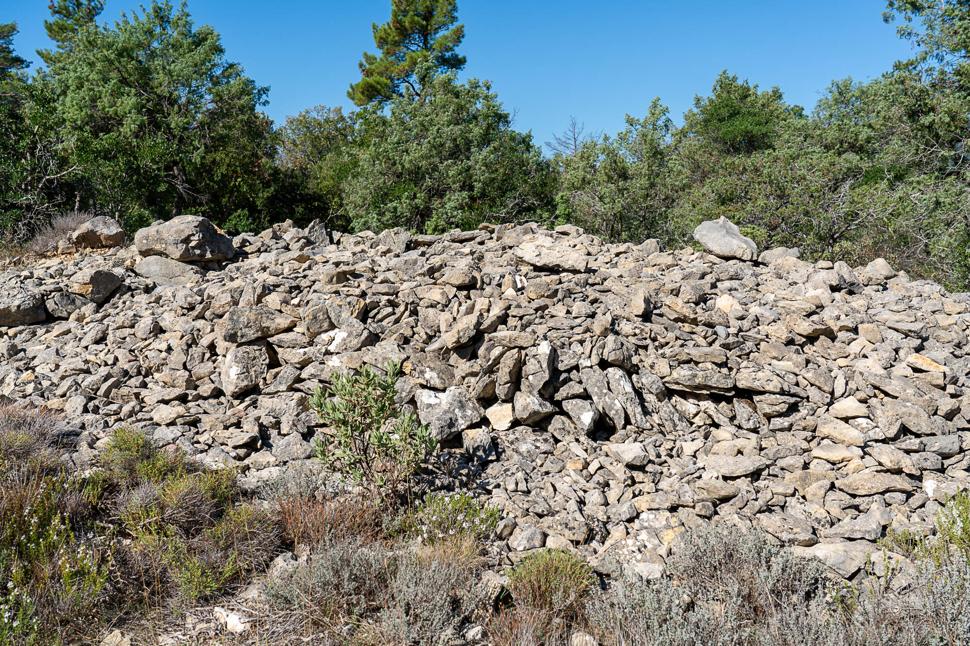 06 A7R4462 web