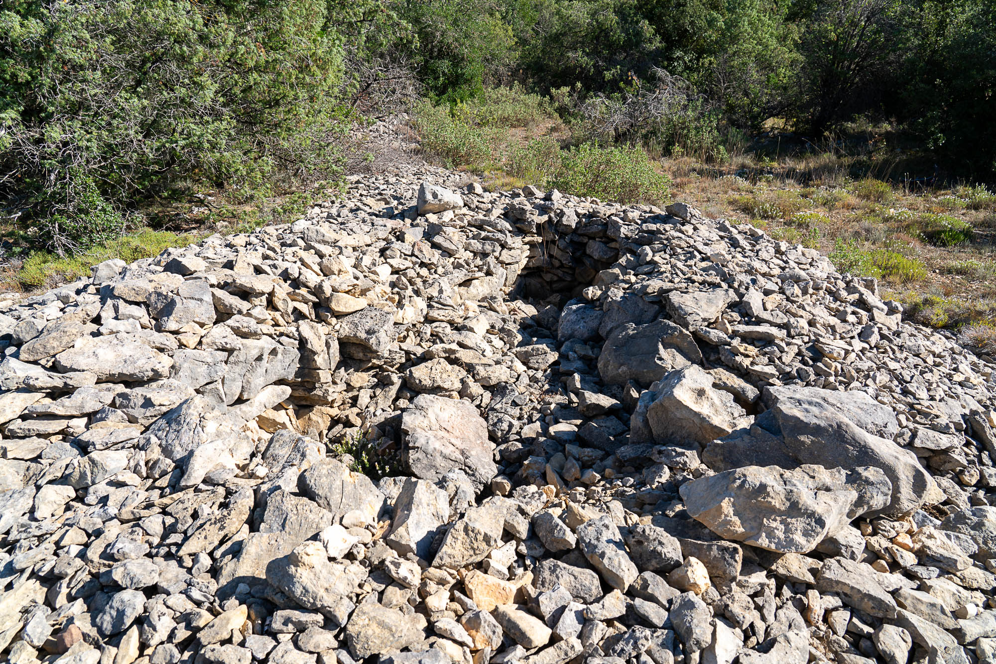 07 A7R4463 web