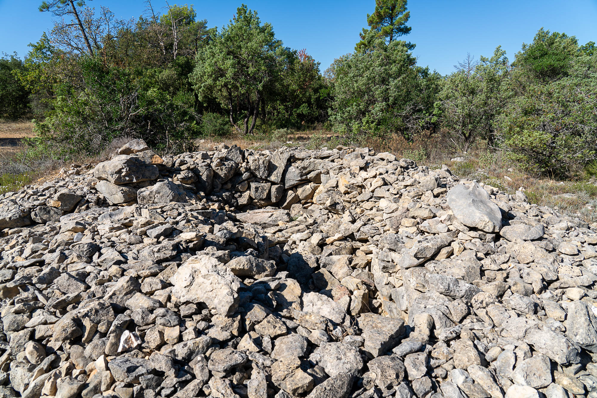 08 A7R4464 web