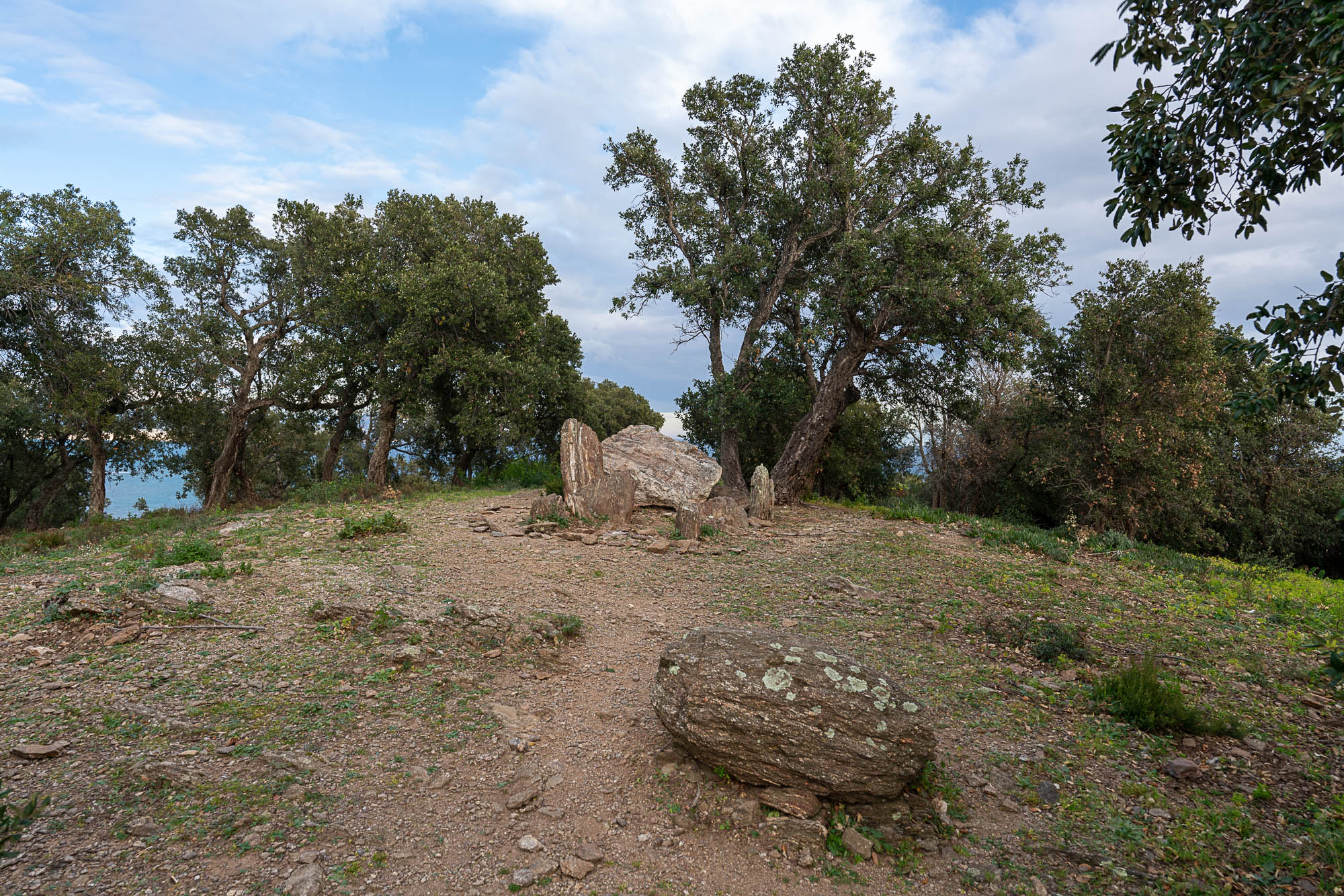 01 A7R2972 web
