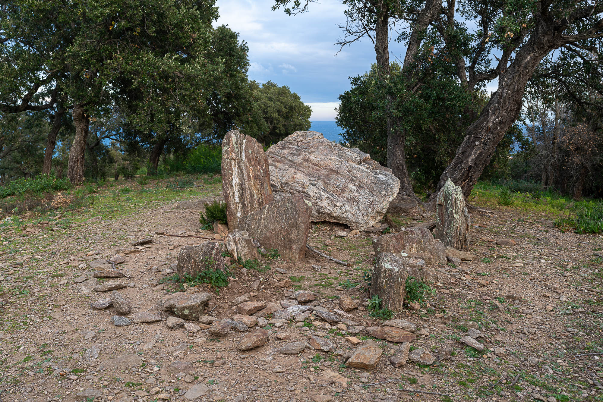 02 A7R2968 web