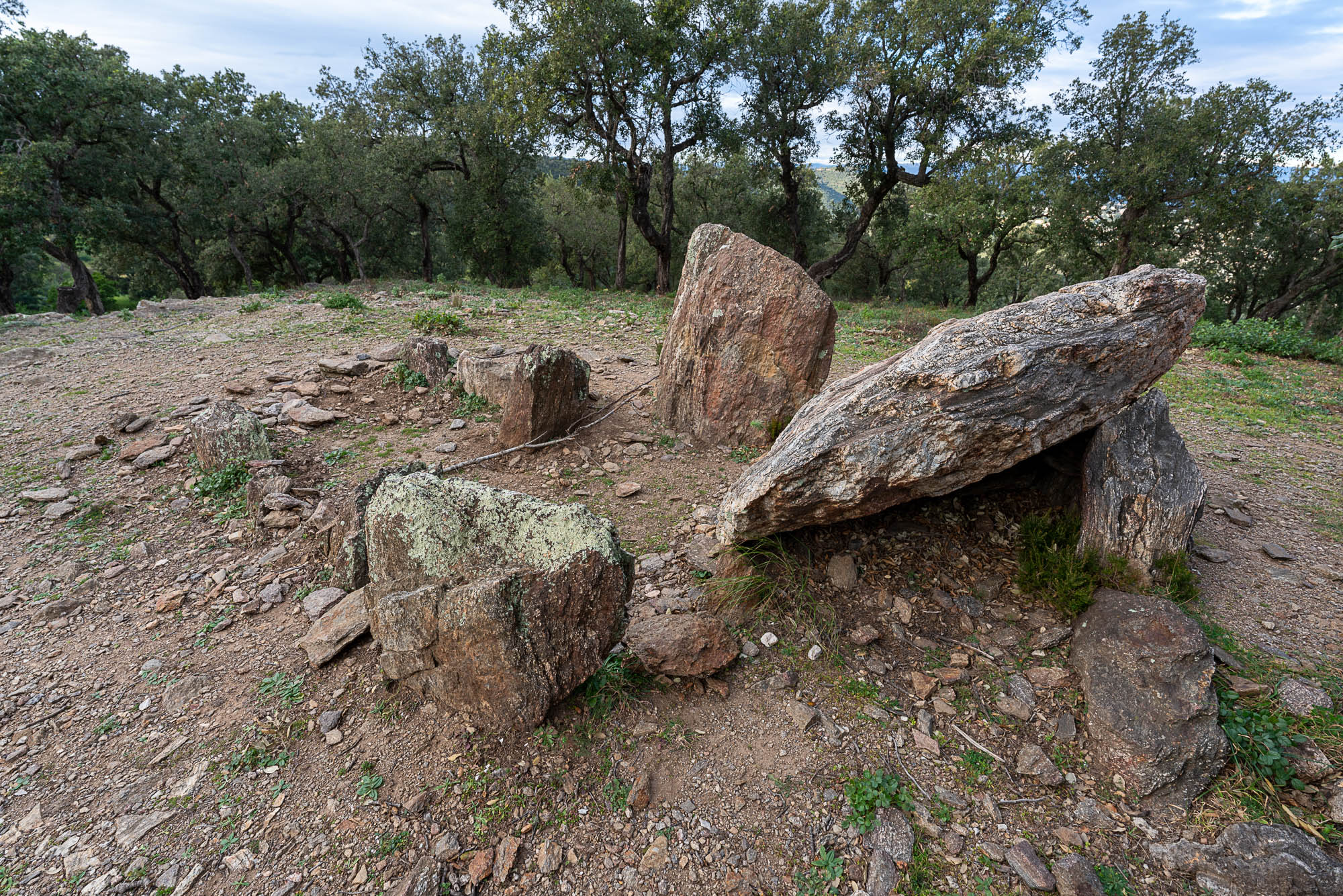 03 A7R2969 web