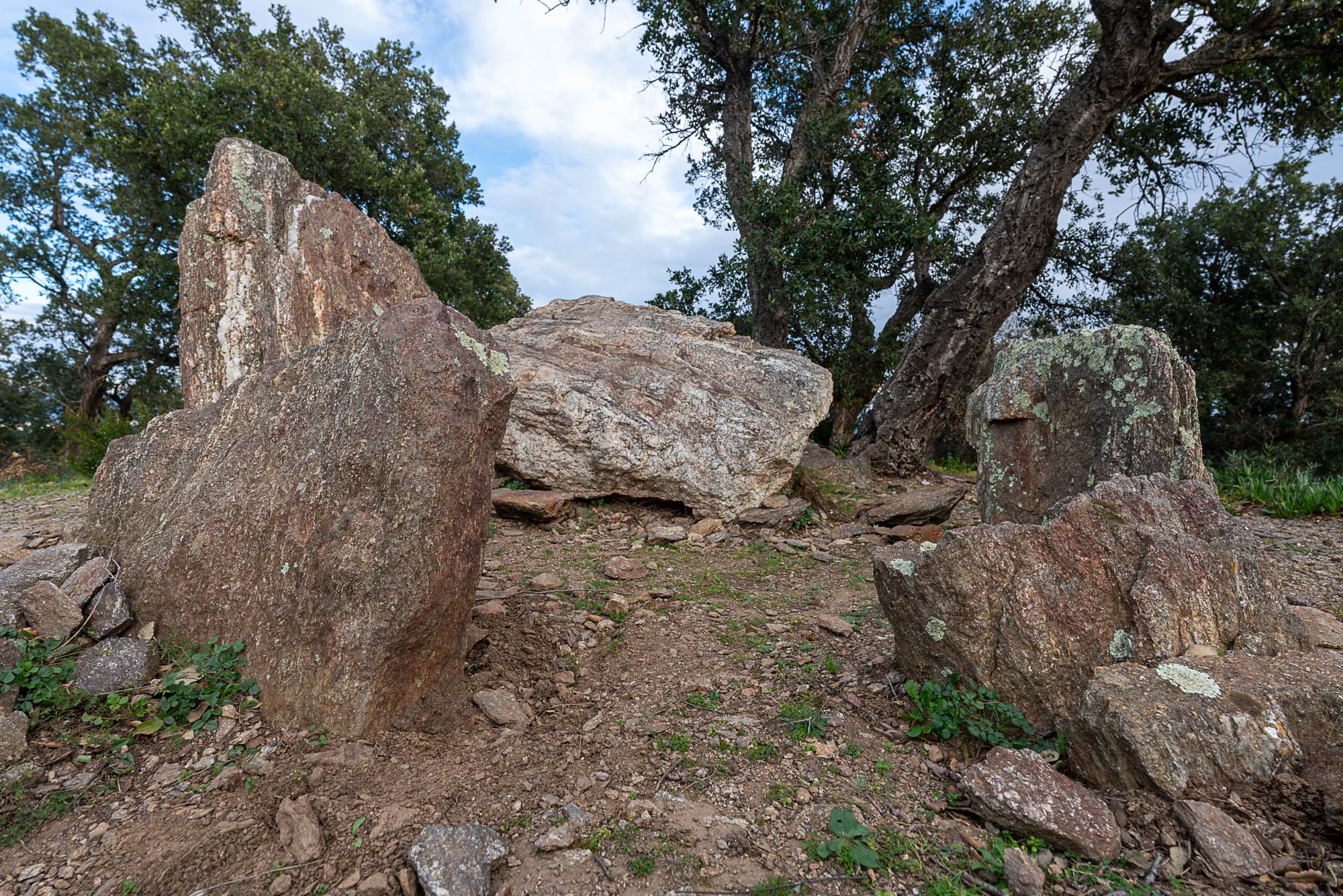 04 A7R2971 web