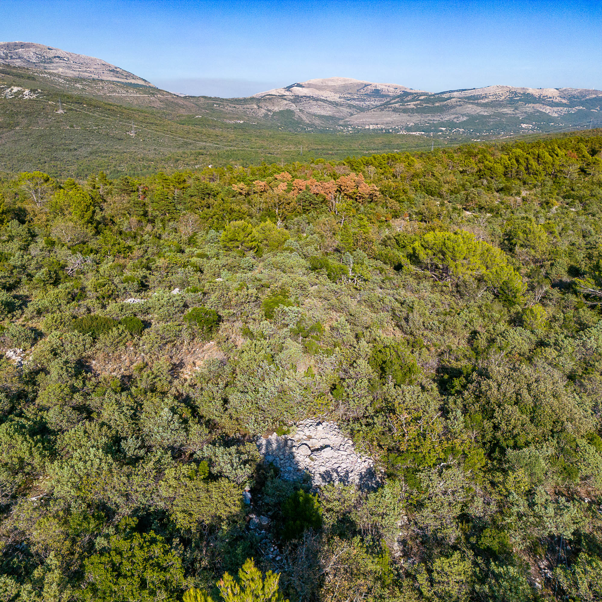 DJI 0304 web