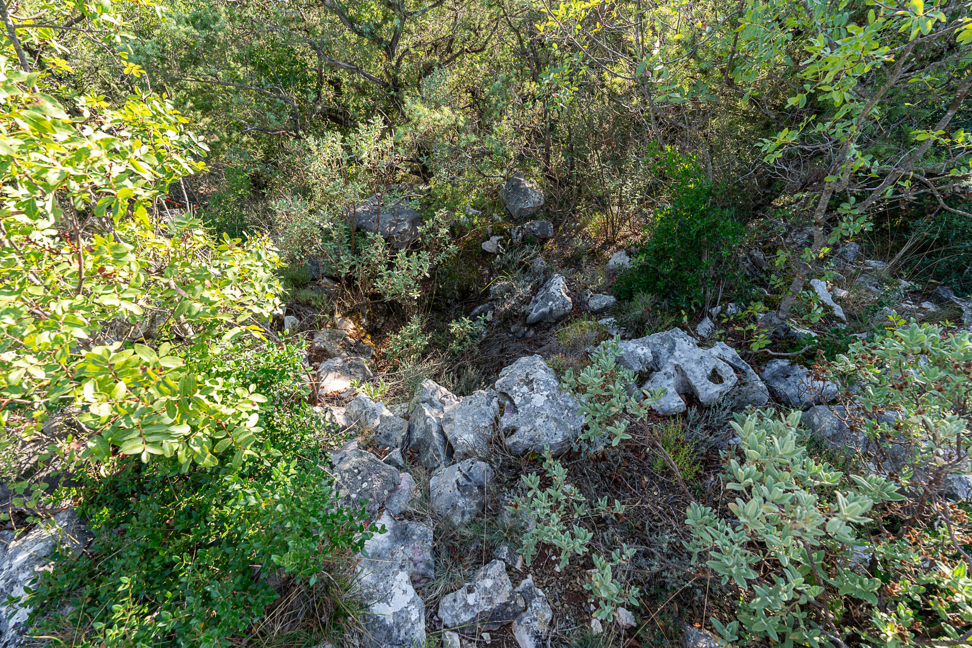 02 A7R04663 web