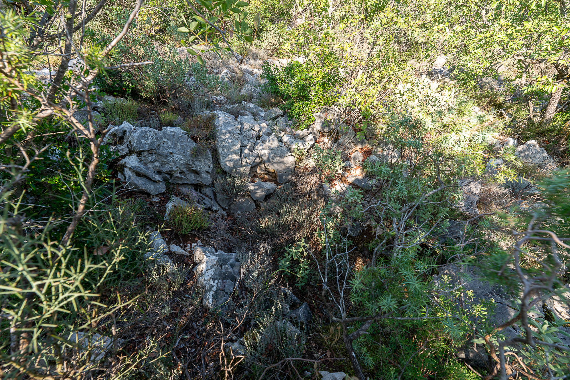 03 A7R04664 web