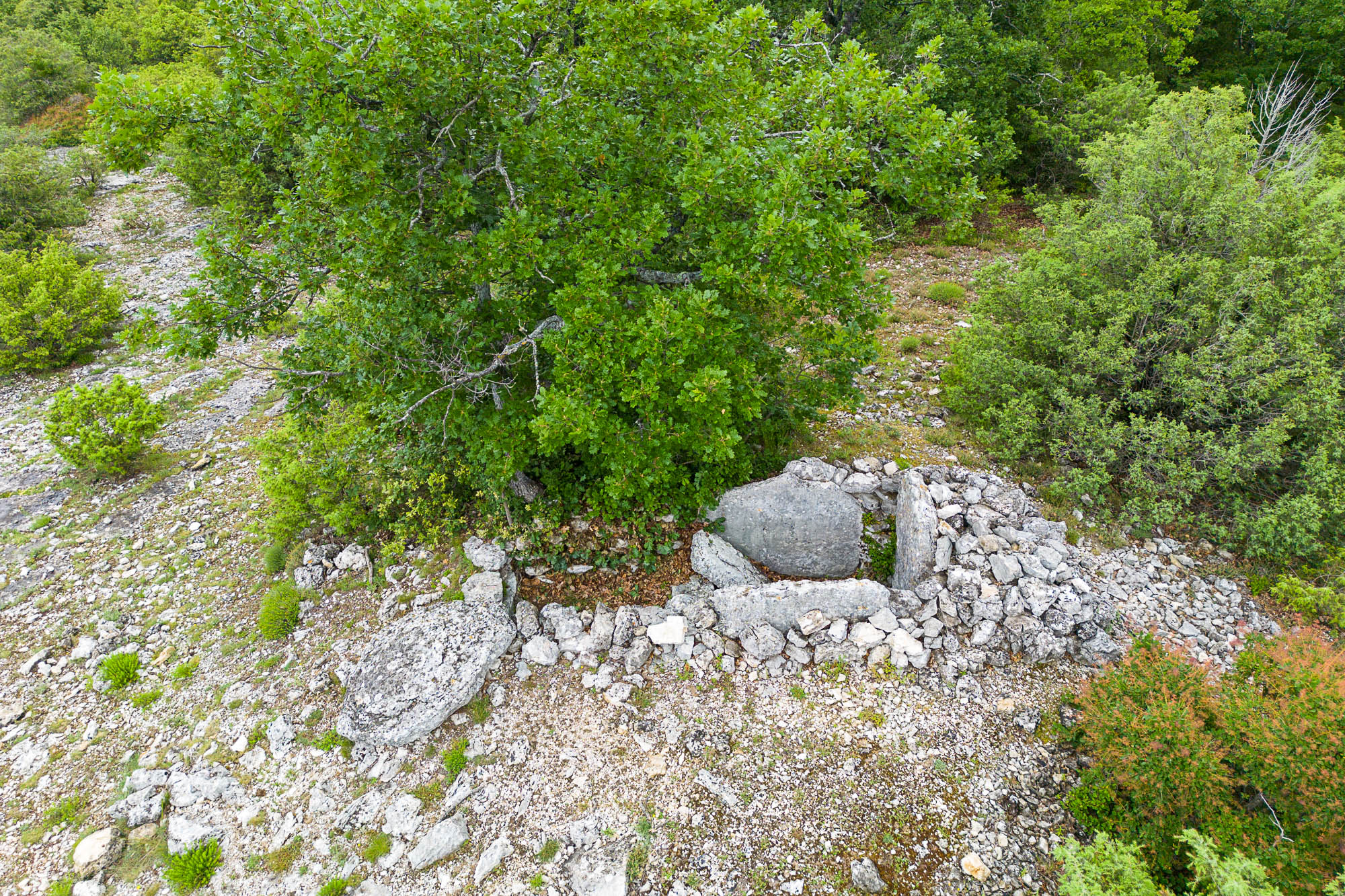 DJI 0994 web
