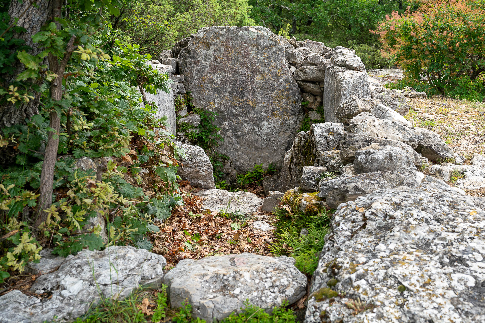  A7R2794 web