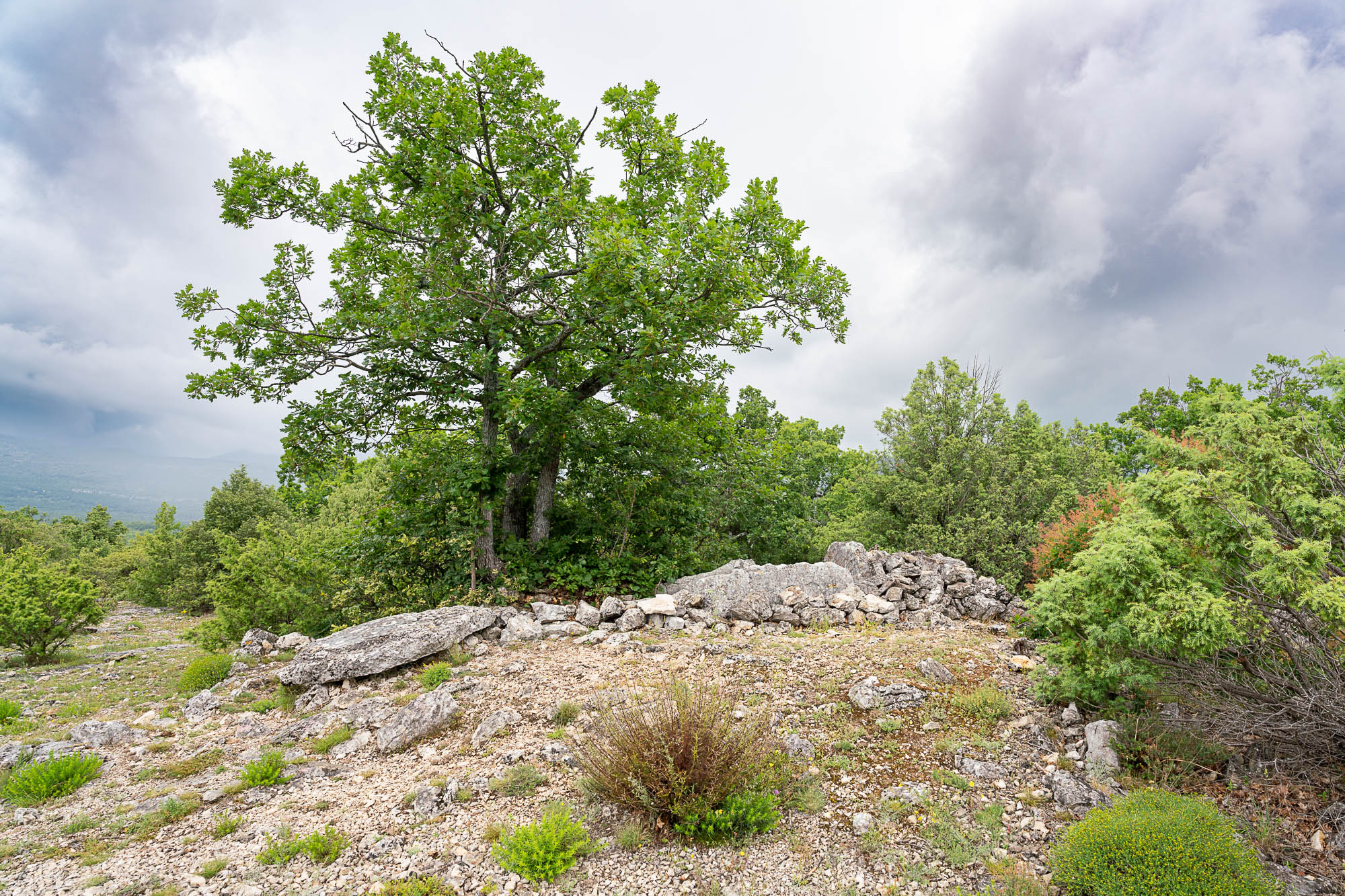  A7R2797 web
