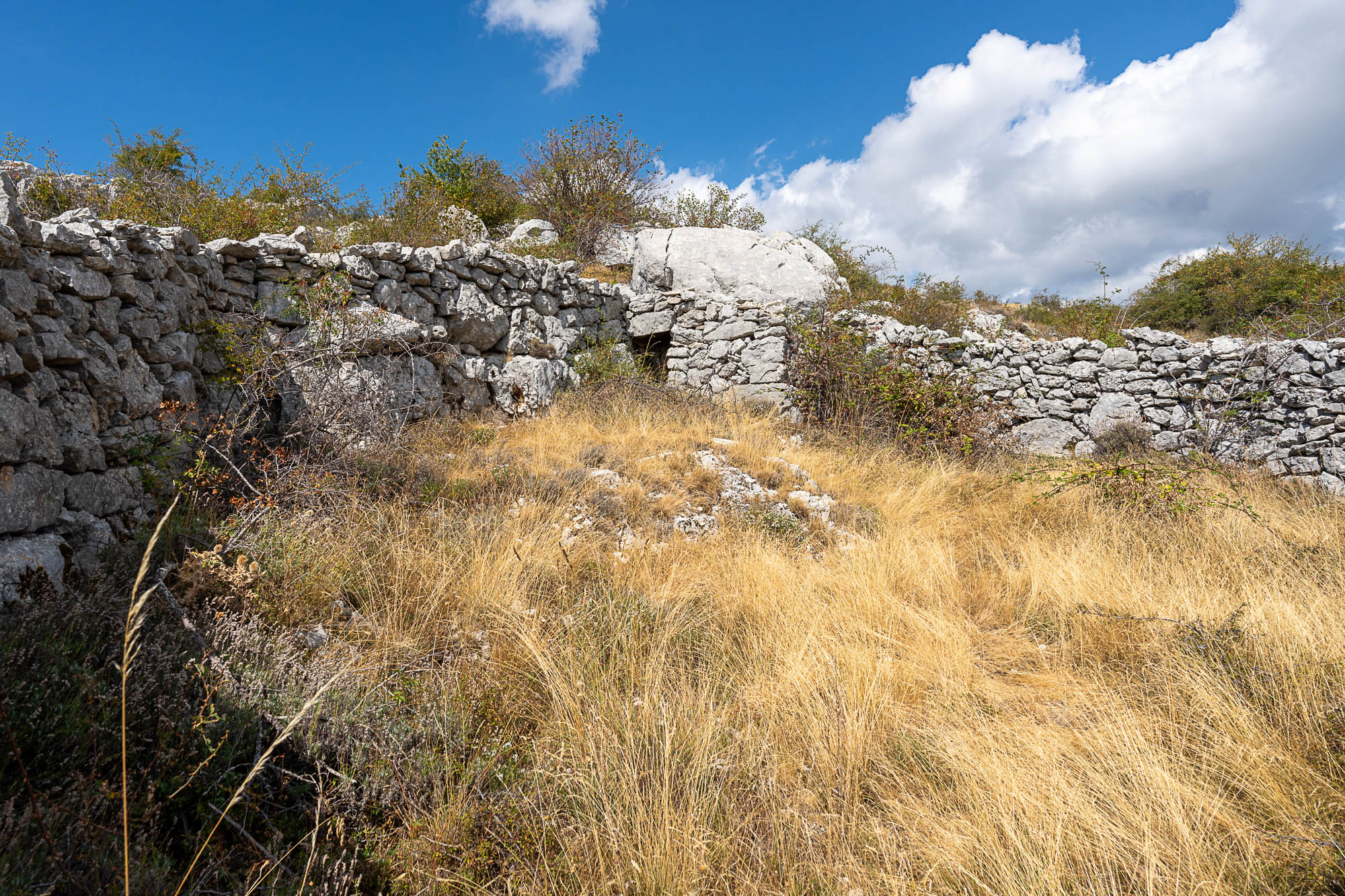 03 A7R4225 web