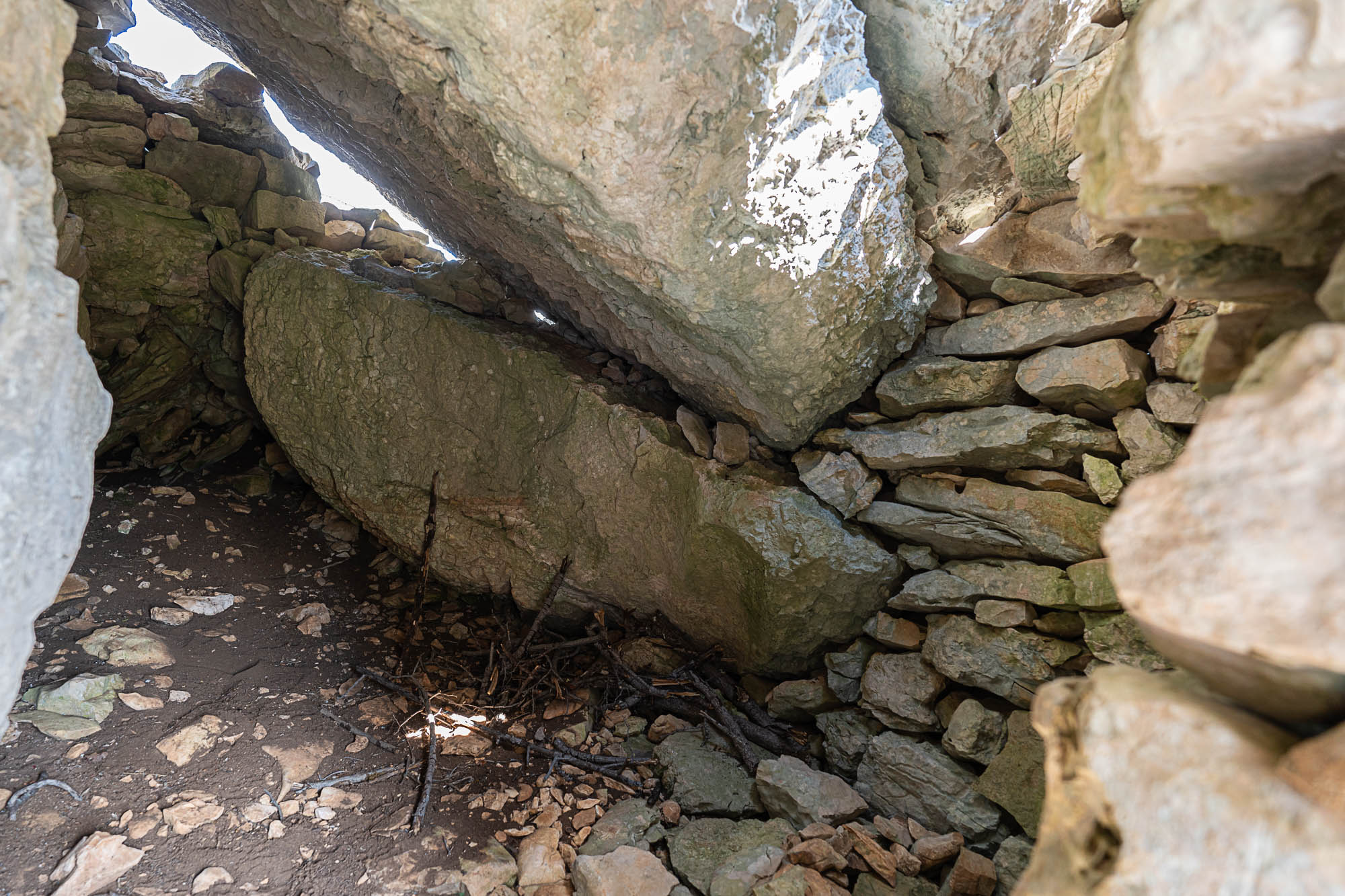 05 A7R4221 web