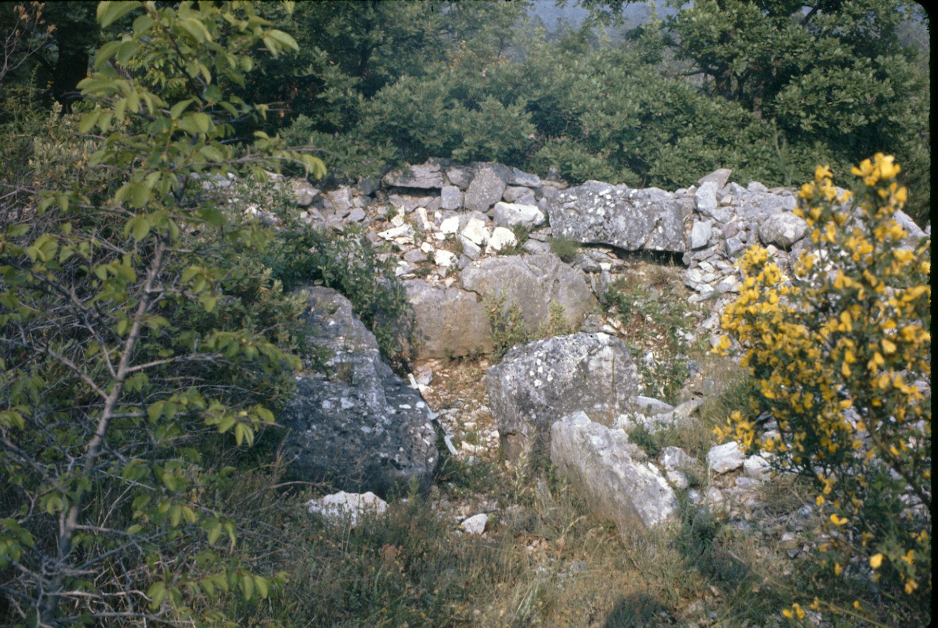 St Cézaire Dolmen des Bernards 10A 039 1974