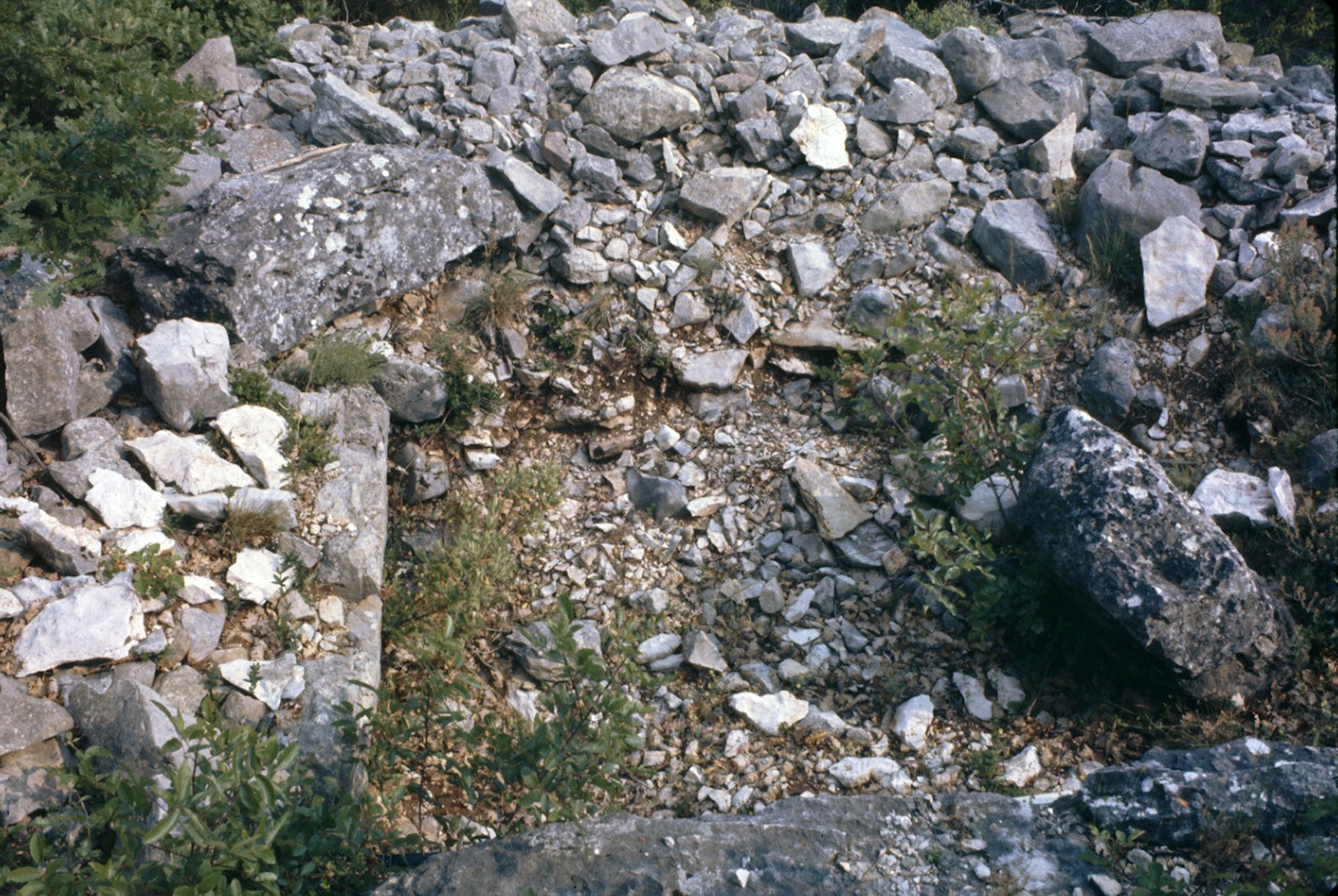 St Cézaire Dolmen des Bernards 10A 040 1974