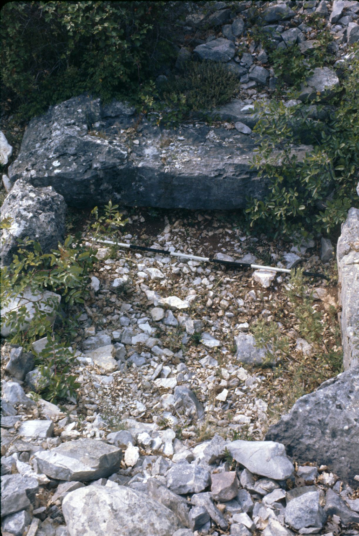 St Cézaire Dolmen des Bernards 10A 042 1974