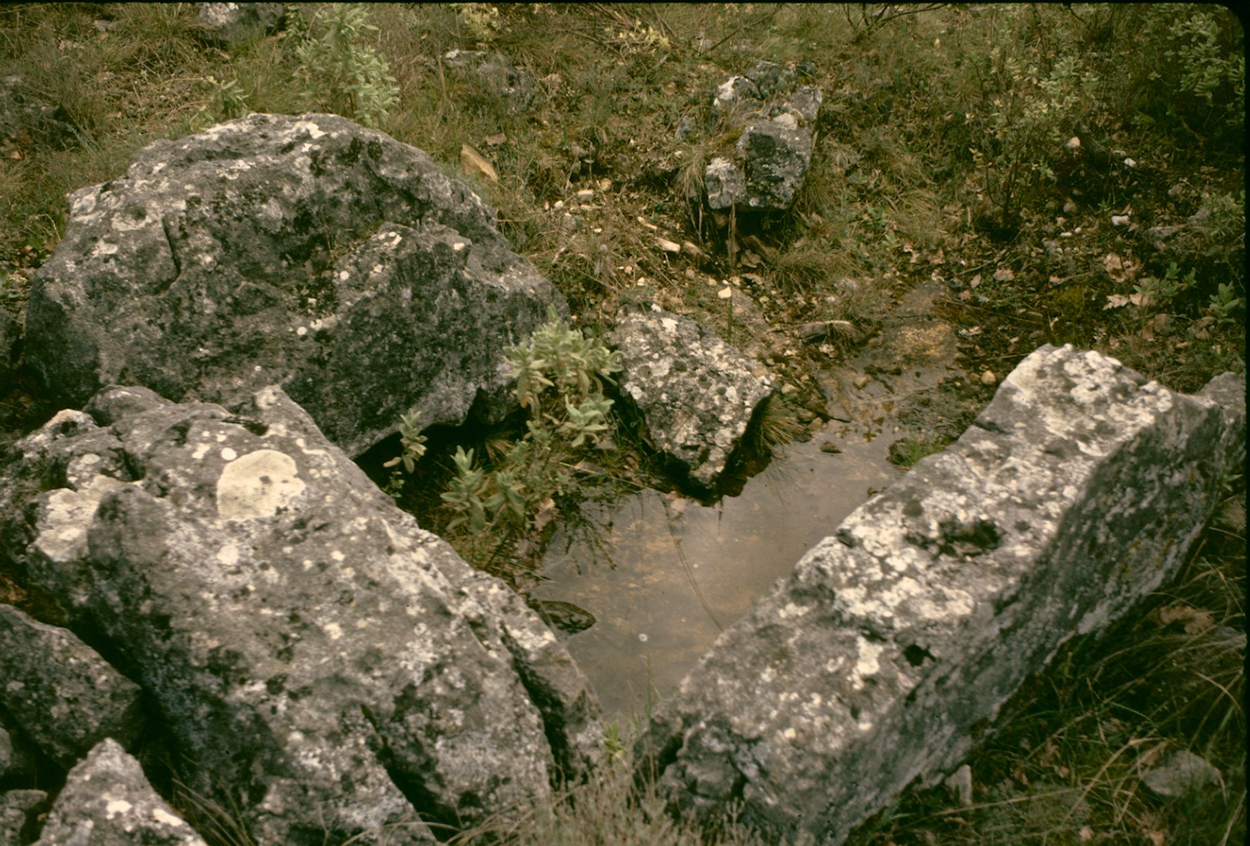St Cézaire Dolmen des Vallons 10A 108 1974