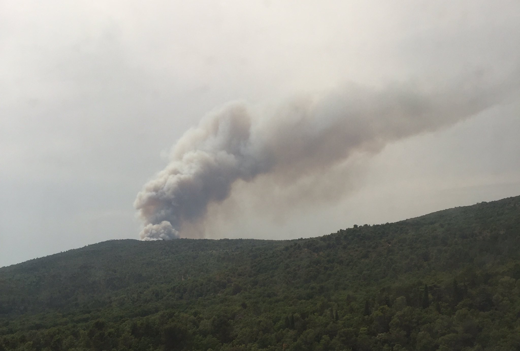 2017 53 hectares parcourus par les flammes 2