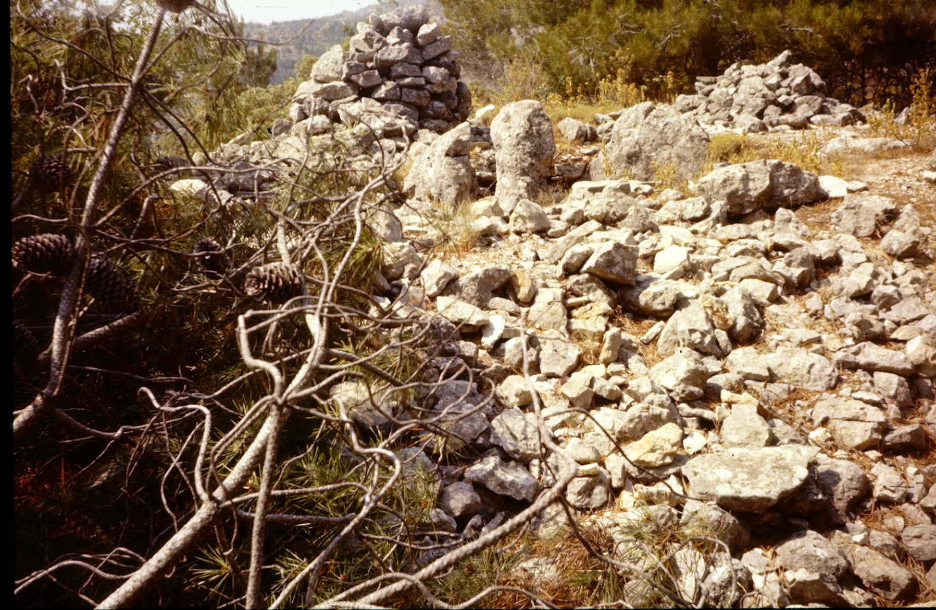 St Cézaire Dolmen de Collebasse 1 10A 012 1974