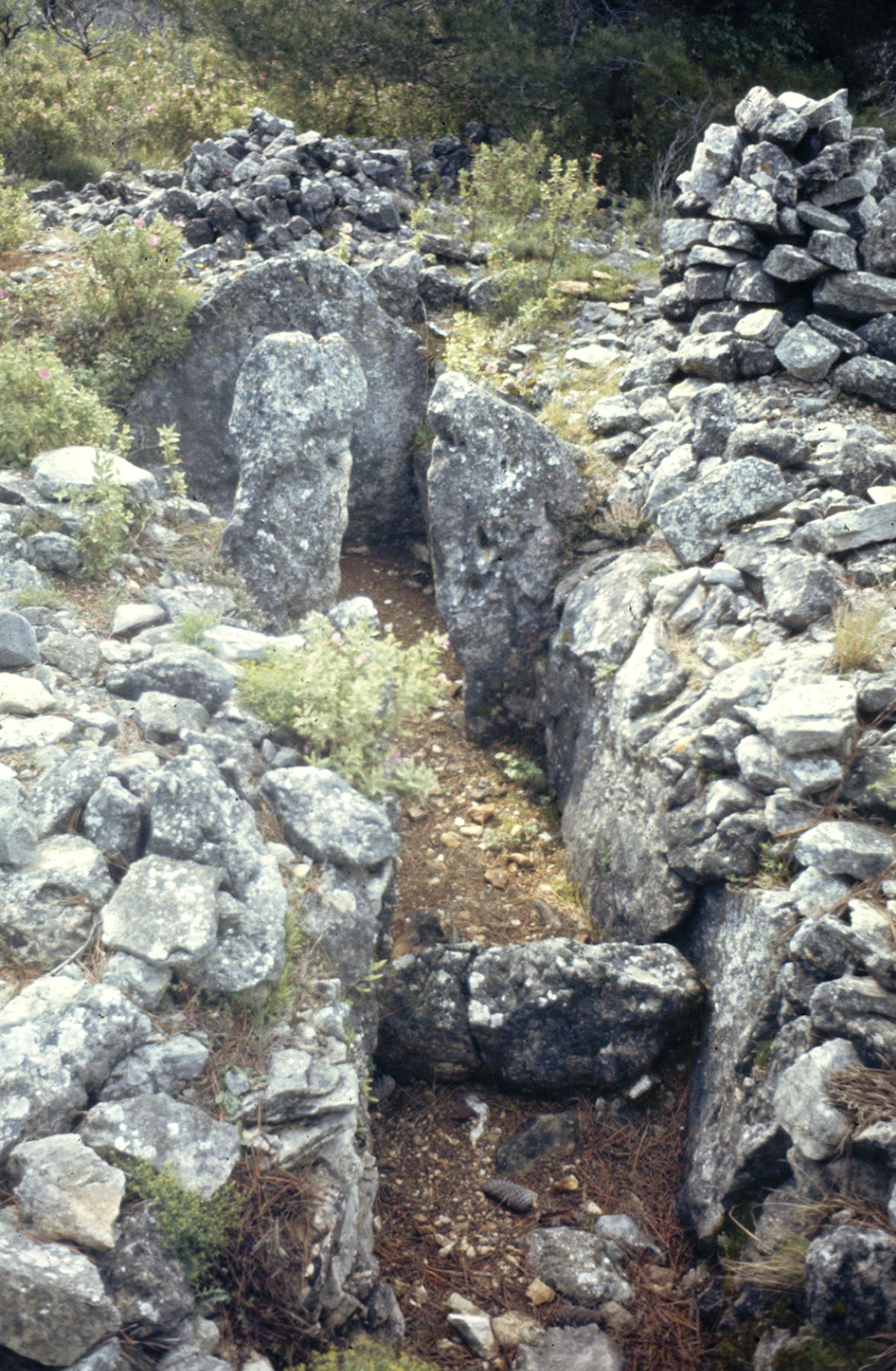 St Cézaire Dolmen de Collebasse 1 10A 017