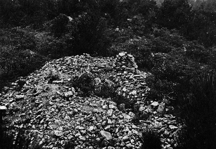 colle basse 1 1960 1