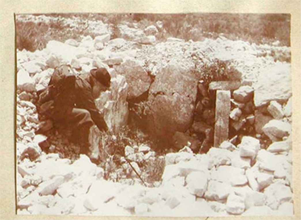 Pranishnikoff mauvans sud