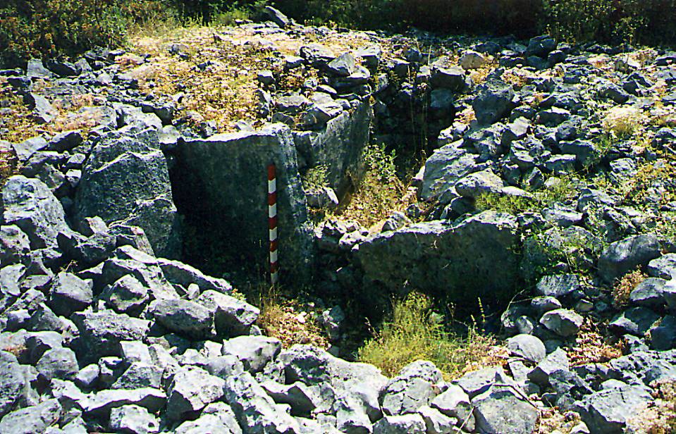 mauvans av