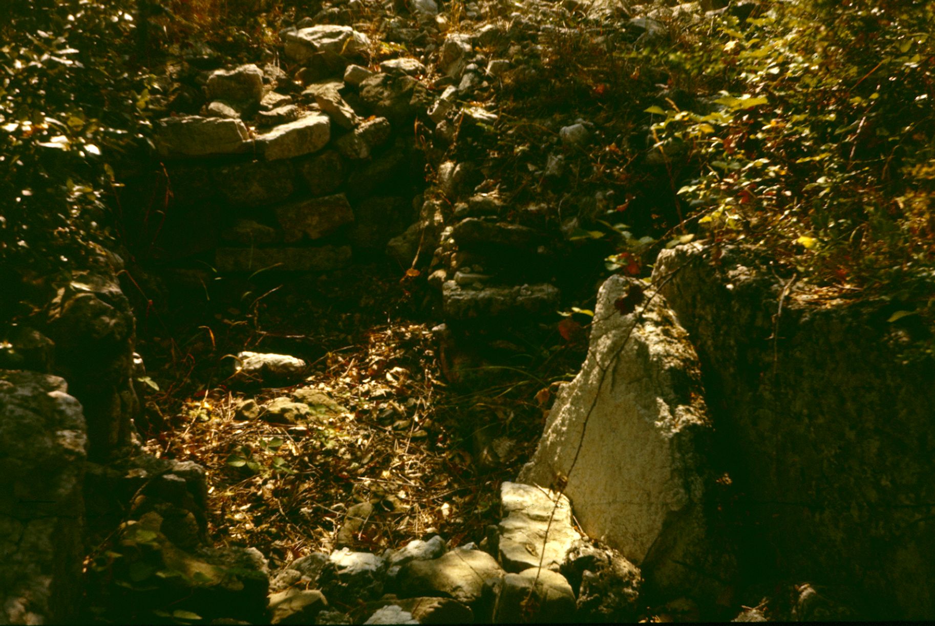 Cabris Dolmen de Clauds Pomeiret 10A 062 1974