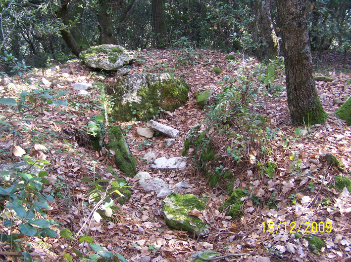 pomereit 2009 1
