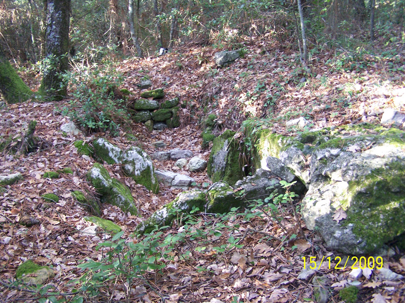 pomereit 2009 2