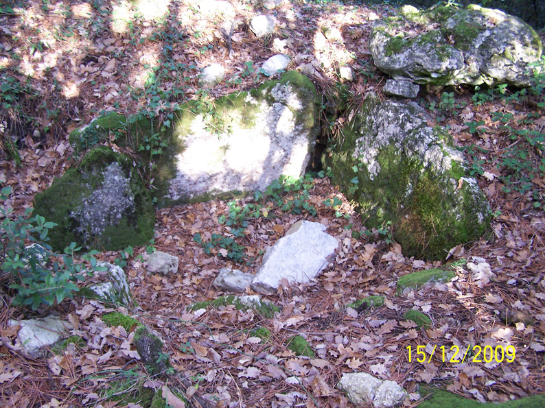 pomereit 2009 3