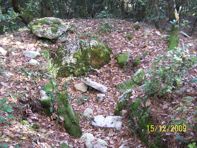 pomereit 2009 4