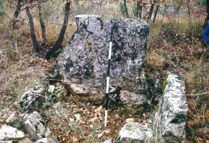 Dolmen du Prignon 1974 b