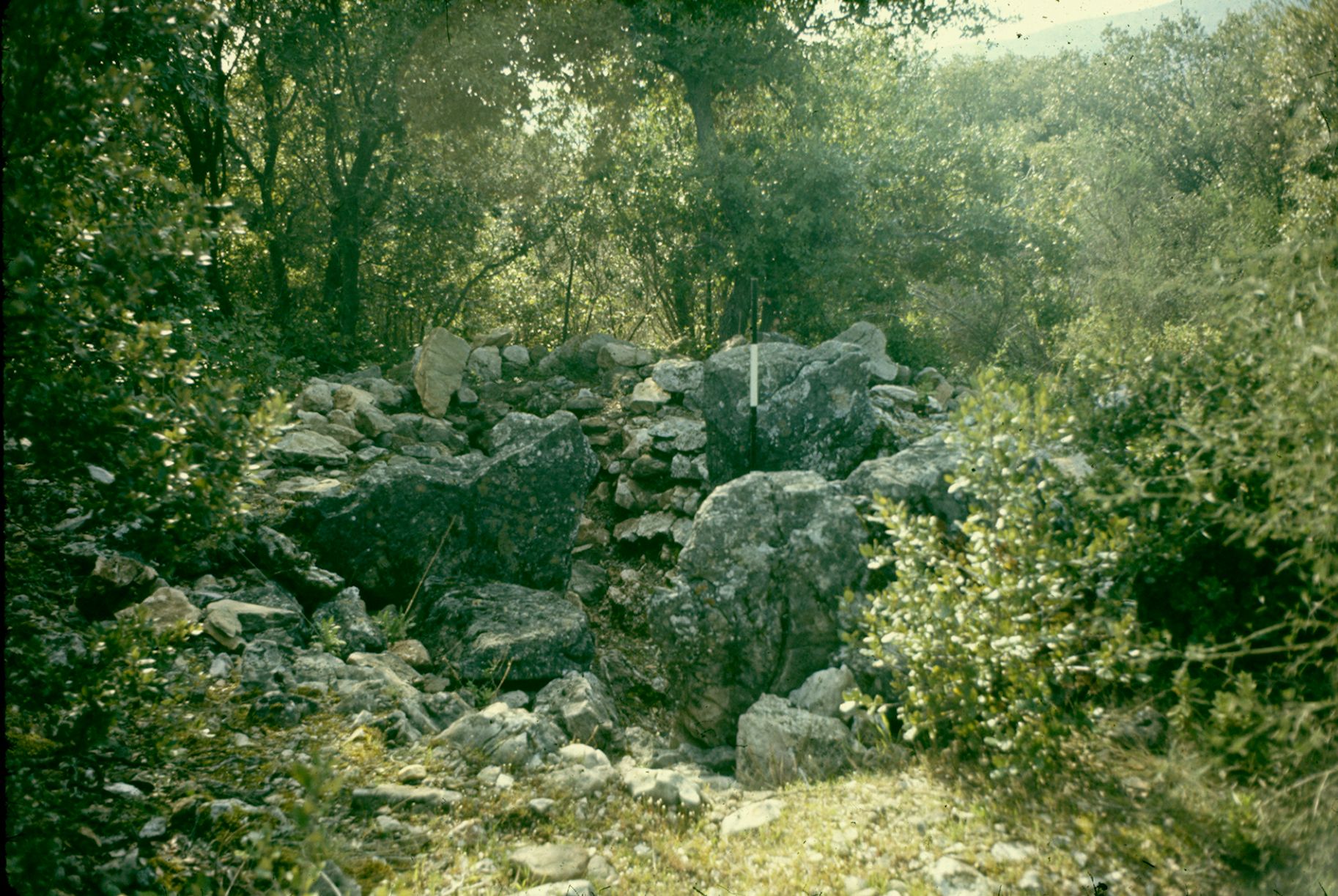 Cabris Dolmen de Stramousse 10A 065 1974