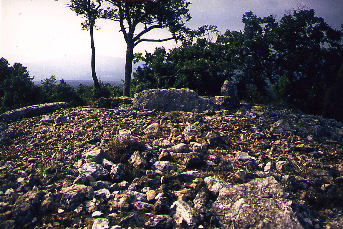 1997 verdo IEN2