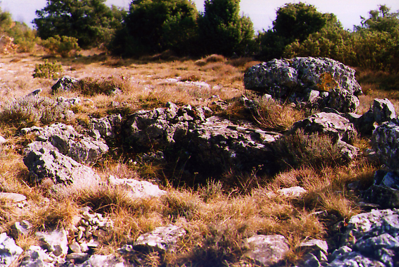 Tomb. Petit St Jean1