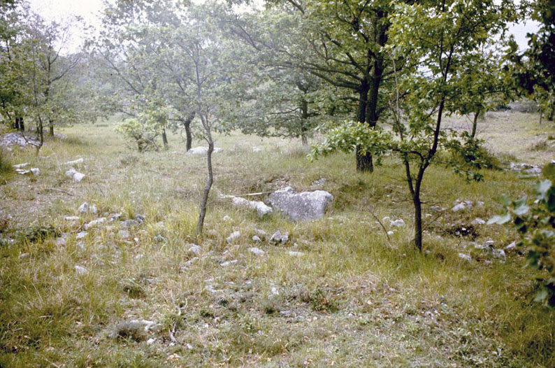 Plan des Noves 1974