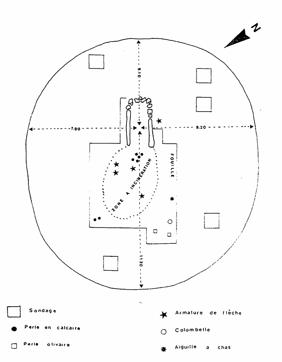tumulus plan des noves 1