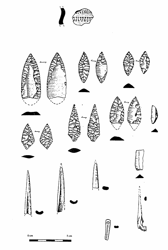 tumulus plan des noves 2