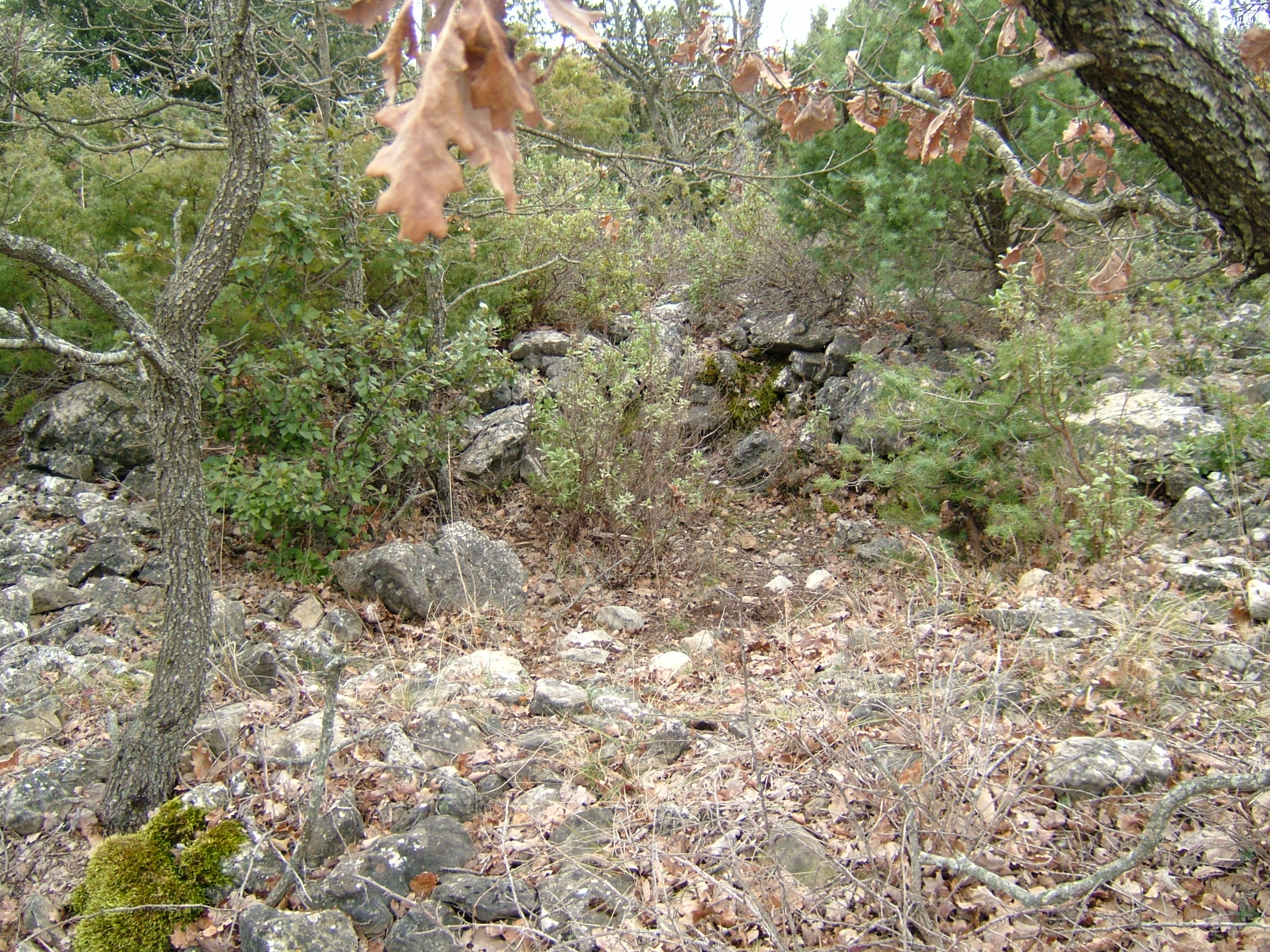 Tumulus Croix de Cabris 1 1