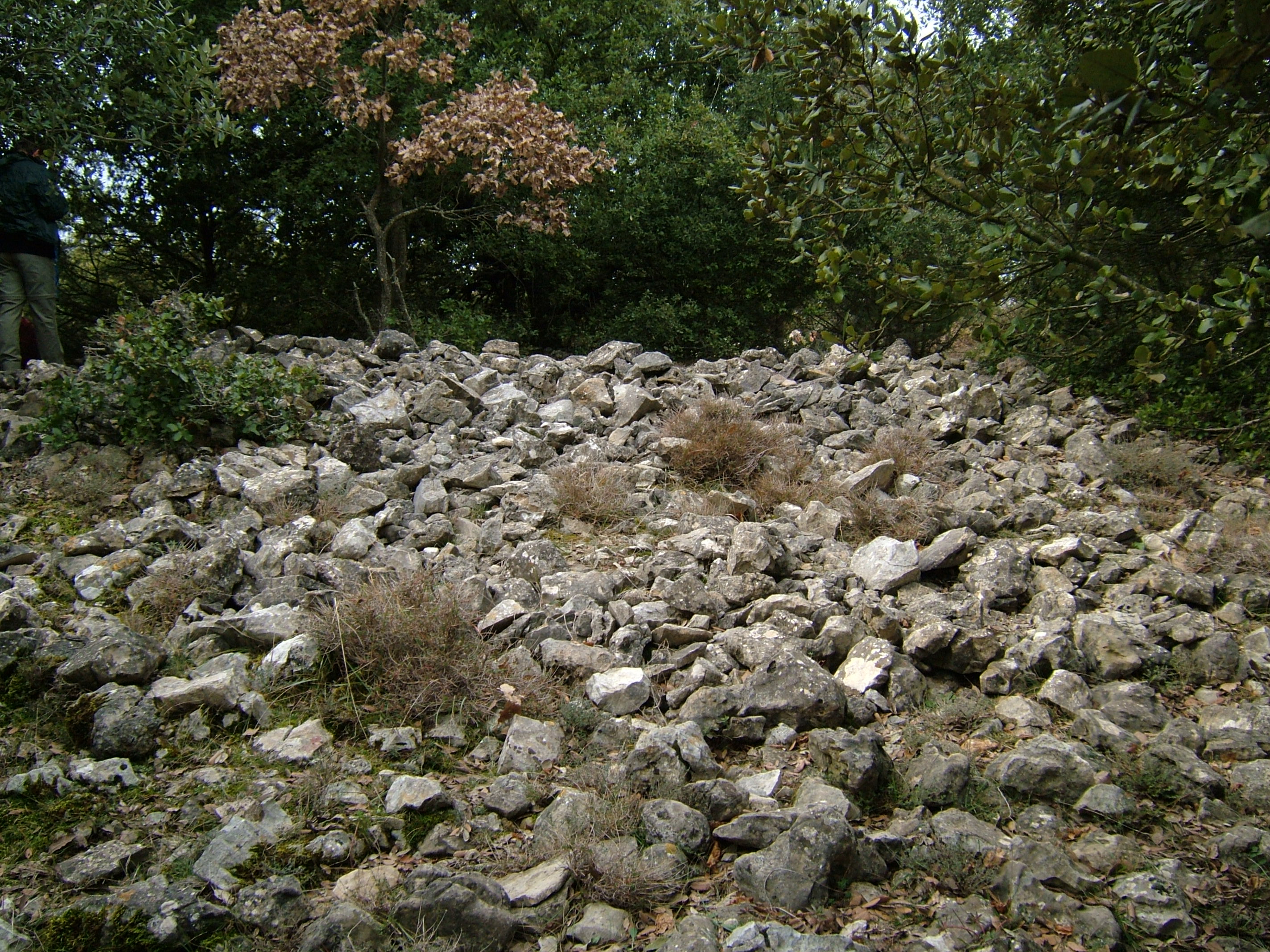 Tumulus Croix de Cabris 2 2